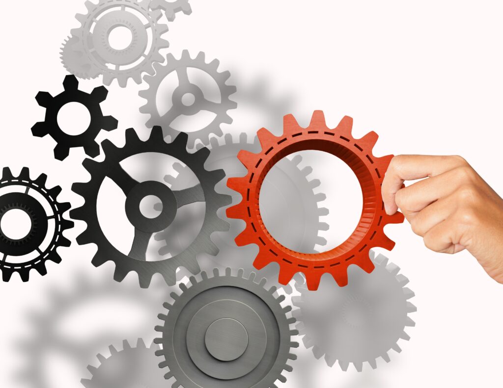 Build a business system - IGNITE Marketing Group