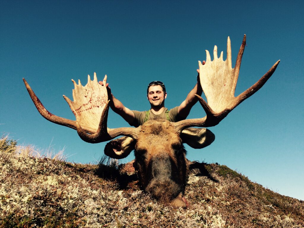 Hunter kneeling behind a bull moose on a rocky ridge